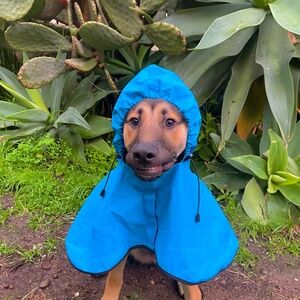 Meet your Posher, Hal